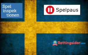 Svenska Casinon Logo